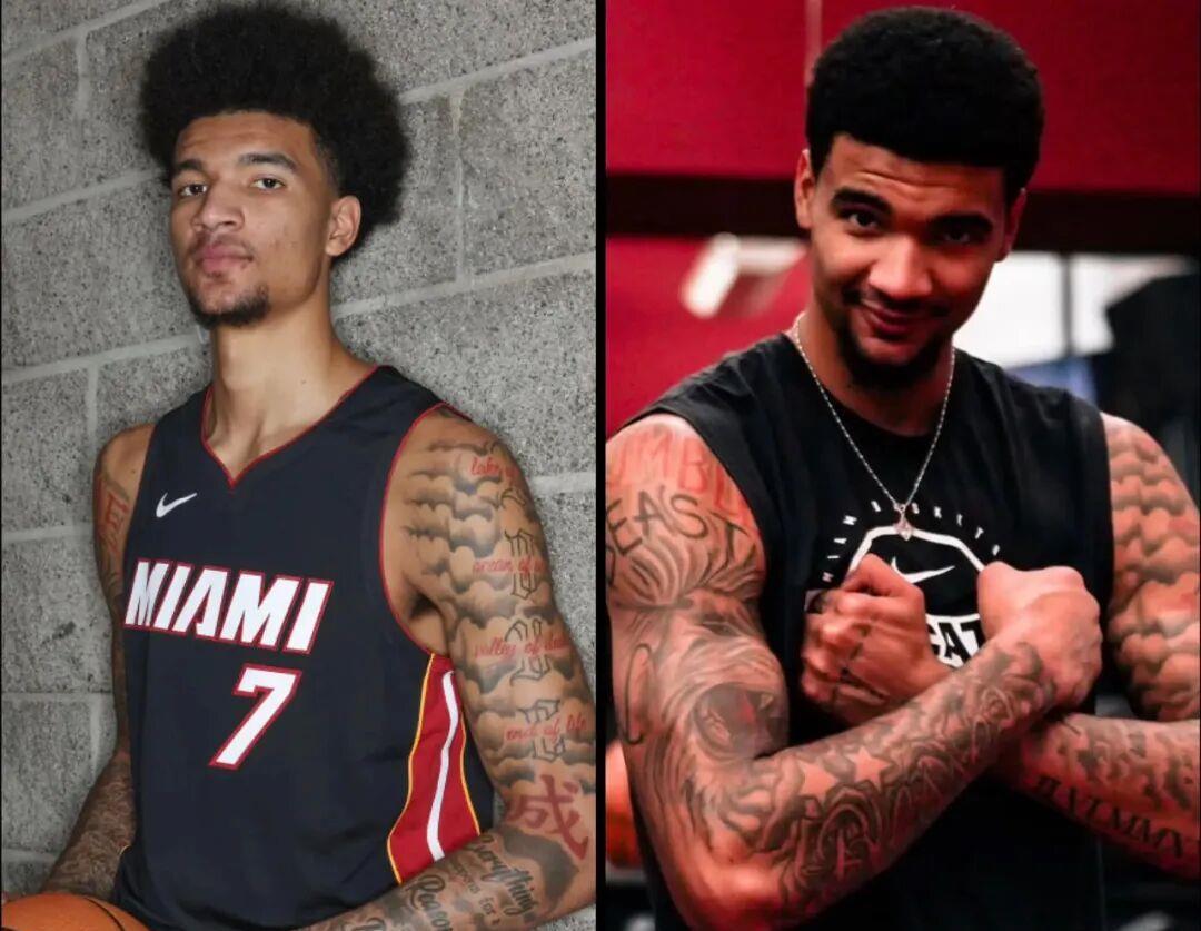 到什么水平, 臂展, img