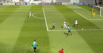 gif, 柏杨, 国安仅取得